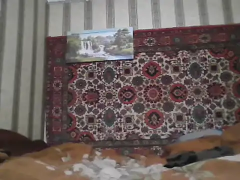 Snapshot of AlferezzSolvajo chatting on 02-03-25, 05:56 AlferezzSolvajo online show from 02-03-25, 05:56