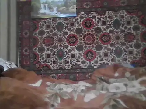 Snapshot of AlferezzSolvajo chatting on 02-08-25, 10:51 AlferezzSolvajo online show from 02-08-25, 10:51