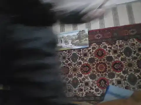Snapshot of AlferezzSolvajo chatting on 02-12-25, 04:11 AlferezzSolvajo online show from 02-12-25, 04:11