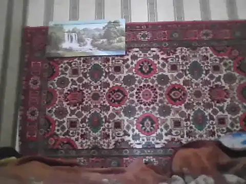 Snapshot of AlferezzSolvajo chatting on 03-09-25, 06:50 AlferezzSolvajo online show from 03-09-25, 06:50