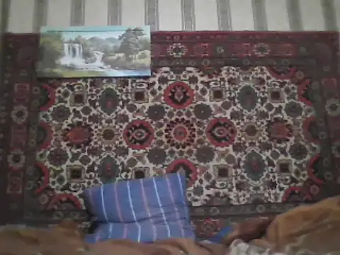 Snapshot of AlferezzSolvajo chatting on 03-10-25, 02:06 AlferezzSolvajo online show from 03-10-25, 02:06