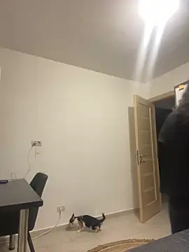 NNNoire online show from 09-26-25, 10:41