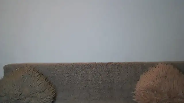 AshlineKatte online show from 02-09-26, 11:03