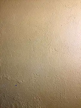 triplebeast online show from 09-11-25, 09:53