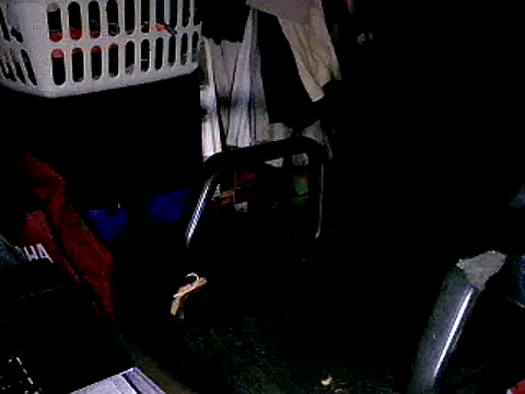 Snapshot of SergCarMX1 chatting on 10-06-25, 08:50 SergCarMX1 online show from 10-06-25, 08:50