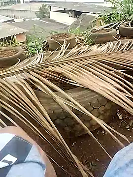 Snapshot of safado0027 chatting on 10-15-25, 06:41 safado0027 online show from 10-15-25, 06:41