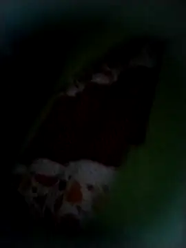 Snapshot of safado0027 chatting on 11-09-25, 08:34 safado0027 online show from 11-09-25, 08:34