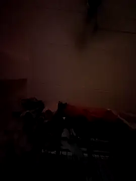 opkiller901 online show from 01-12-25, 10:01