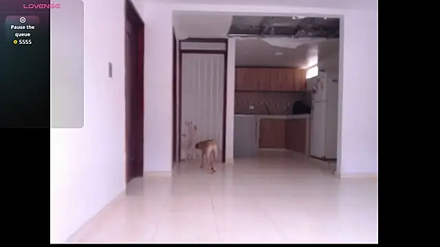 Snapshot of leslycarsson chatting on 10-07-25, 07:11 leslycarsson online show from 10-07-25, 07:11