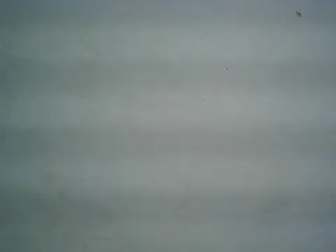 michel1520 online show from 06-09-26, 04:35