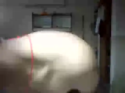 venom26 online show from 09-14-25, 09:52