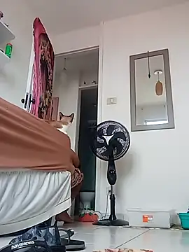 Munnoki online show from 04-02-26, 09:29