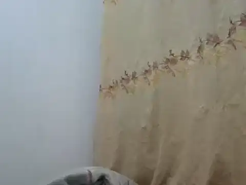 Sr JakoXXXX online show from 02-20-25, 07:55