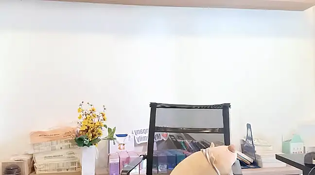 Lush-Office online show from 03-12-25, 07:57