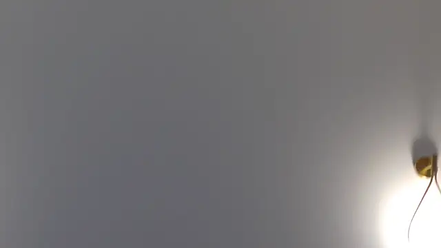 Lilliana Moon online show from 01-30-25, 01:42