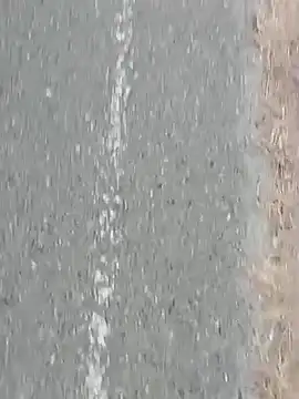 Jinenez online show from 02-27-25, 10:20