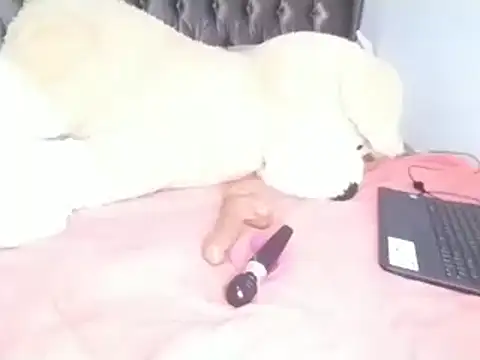 Chandy012 online show from 04-08-26, 06:13