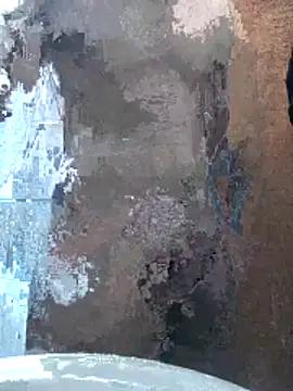 kreisbsb online show from 04-25-26, 12:13