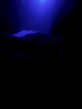 Raziv komal143 online show from 02-26-25, 12:16