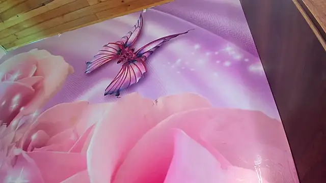 emili clark online show from 03-21-25, 10:39