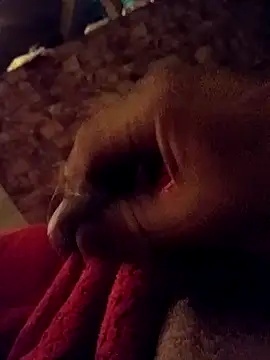 srecet online show from 02-01-25, 09:43