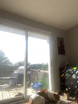 daisydukes666 online show from 04-18-26, 01:26