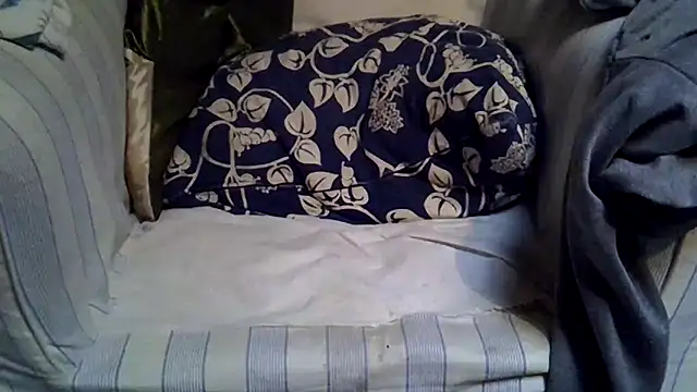 Damn bro23 online show from 11-24-25, 08:14