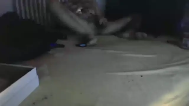 Damn bro23 online show from 01-31-26, 08:51