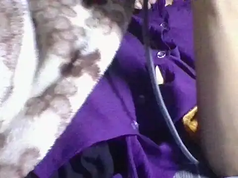 AKANSHA 7 online show from 11-01-25, 04:53