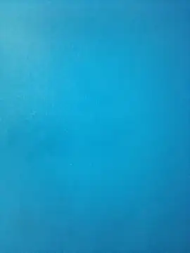 Snapshot of randit7 chatting on 03-09-25, 04:55 randit7 online show from 03-09-25, 04:55