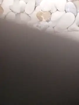 Playboy bhabhi 00 online show from 02-20-25, 07:23