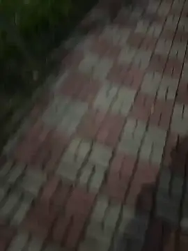 Snapshot of Phil_6677 chatting on 10-12-25, 06:51 Phil 6677 online show from 10-12-25, 06:51