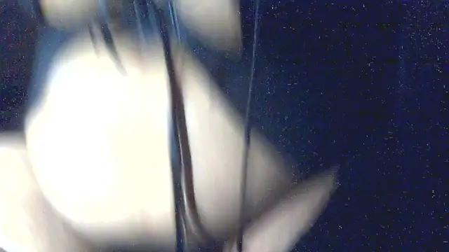 Snapshot of Leelasissy chatting on 03-06-26, 05:20 Leelasissy online show from 03-06-26, 05:20