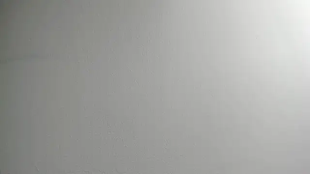 Snapshot of Tombarden chatting on 02-11-25, 03:51 Tombarden online show from 02-11-25, 03:51