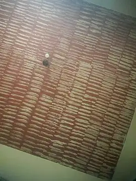 Snapshot of DOMINADOR5 chatting on 02-09-25, 04:29 DOMINADOR5 online show from 02-09-25, 04:29