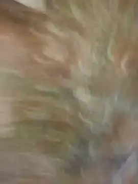 Snapshot of Santiago-Thompson chatting on 01-26-25, 08:23 Santiago-Thompson online show from 01-26-25, 08:23