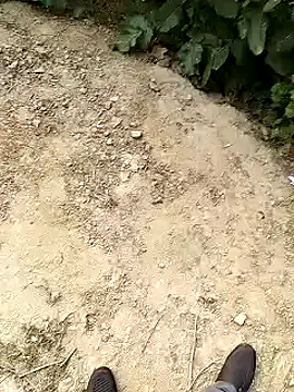 xmanrawan2 online show from 01-30-25, 10:50