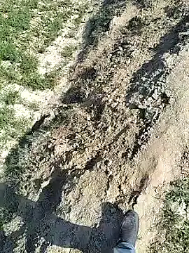 xmanrawan2 online show from 02-04-25, 07:29