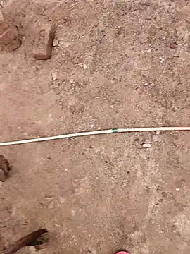 xmanrawan2 online show from 10-09-25, 07:50