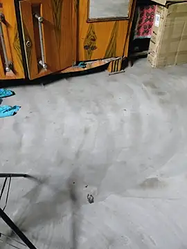 birds0641 online show from 04-27-26, 06:17