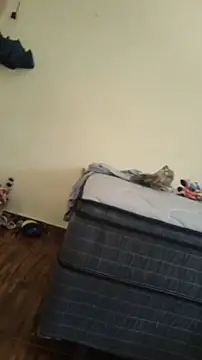 Snapshot of JapeDoBryan chatting on 05-16-26, 06:28 JapeDoBryan online show from 05-16-26, 06:28