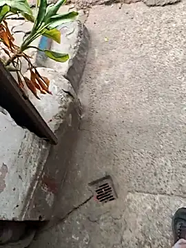 sethgamble000777 online show from 12-20-25, 09:05