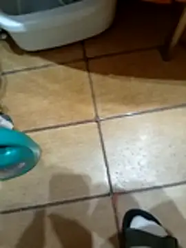 Snapshot of NAvoglia chatting on 03-12-26, 11:55 NAvoglia online show from 03-12-26, 11:55