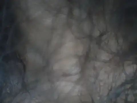 Snapshot of alexiaross96 chatting on 03-13-26, 05:08 alexiaross96 online show from 03-13-26, 05:08