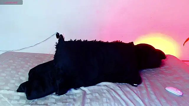 Snapshot of 7_Saturno_7 chatting on 07-14-26, 02:05 7 Saturno 7 online show from 07-14-26, 02:05