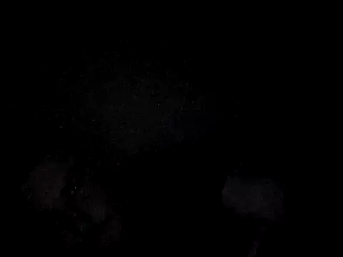 Snapshot of Foxtrott_242 chatting on 09-08-25, 11:48 Foxtrott 242 online show from 09-08-25, 11:48