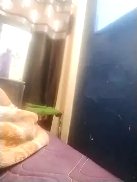 neha007-K online show from 03-10-25, 07:18