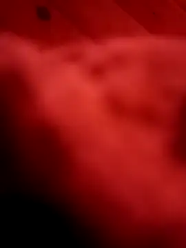 Arabian online show from 02-11-25, 06:01