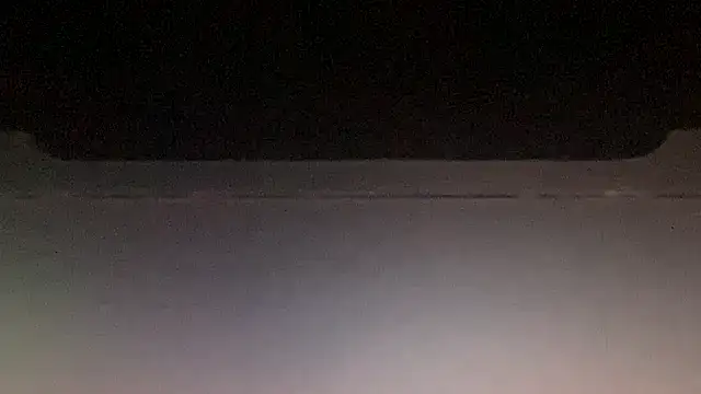 LeoLovelyDick online show from 01-13-26, 08:36