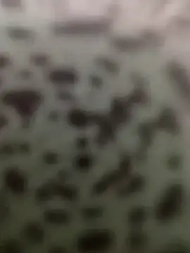 Snapshot of Yashkumar_0697 chatting on 10-13-25, 08:42 Yashkumar 0697 online show from 10-13-25, 08:42